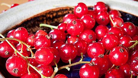 GARDENING: Summer sun is just the berries! Image