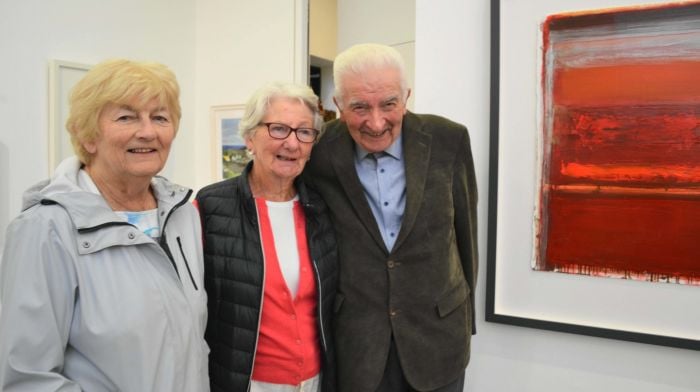 Rachel O'Keeffe, Lal Thompson and Gerald O'Brien at the opening of Members and Friends Exhibition at Uillinn West Cork Arts Centre in Skibbereen. Photo; Anne Minihane.