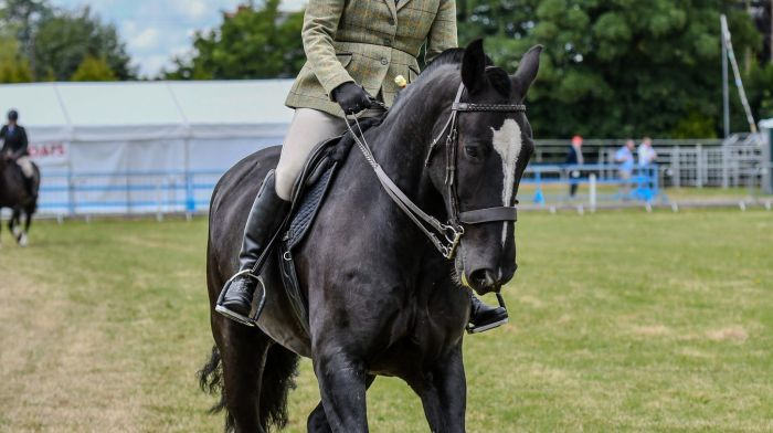 Gemma Dale and her horse Jackjack had a great time competing at the Cork Summer Show. Gemma is hoping that her and Jackjack get to attend the Dublin Horse Show in August.