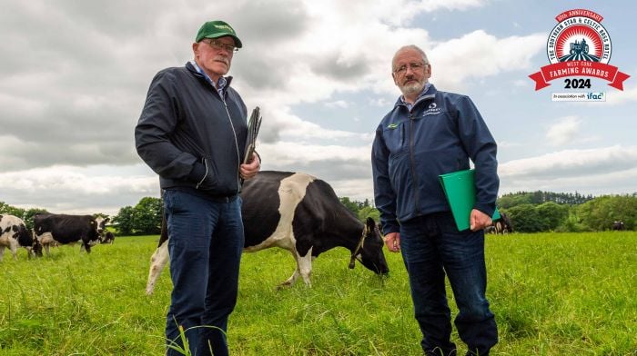 Championing West Cork milk quality Image