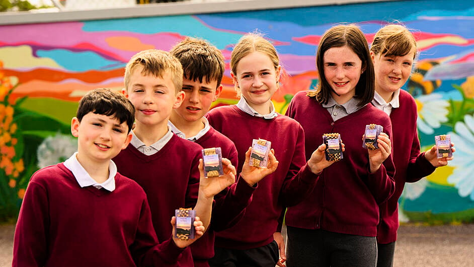 Lisheen’s young entrepreneurs clean up with award-winning soap business Image