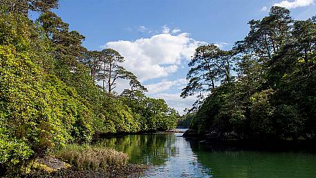 West Cork's best picnic spots Image