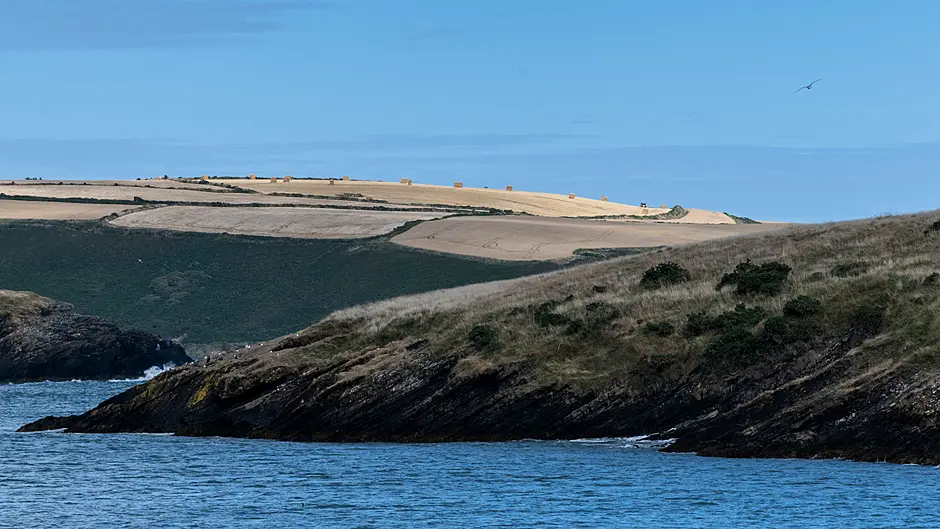 Lifeboat called for swimmers near Kinsale Image