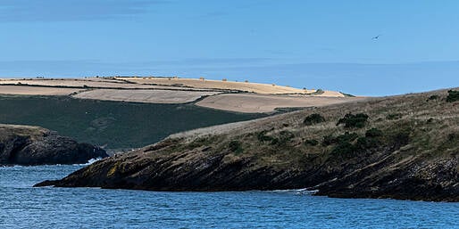 Lifeboat called for swimmers near Kinsale Image