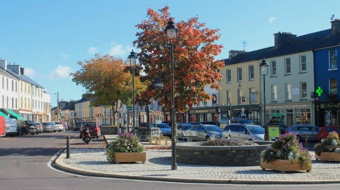 Things to See and Do in Dunmanway and the surrounding areas Image