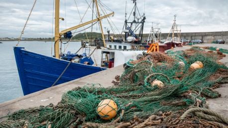 ‘We met Packie Bonner, and he said “Where are all the boats gone?”’ Image