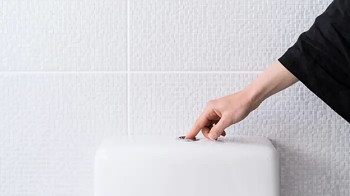 Bid to get public to think before a flush Image