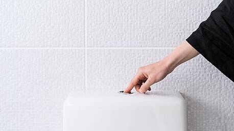 Bid to get public to think before a flush Image