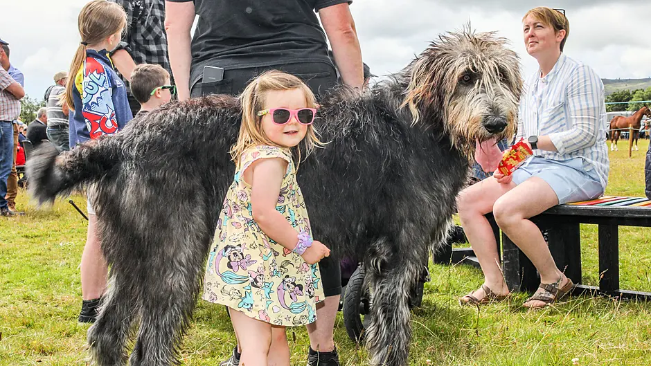 FARMING: Dunmanway,, Cork, Ireland. 07th July, 2024. Katie Stafford (2) from Rosscarbery with Okie the Irish Wolfhound at the annual agricultural show that was held in Dunmanway, Co. Cork. - Picture David Creedon