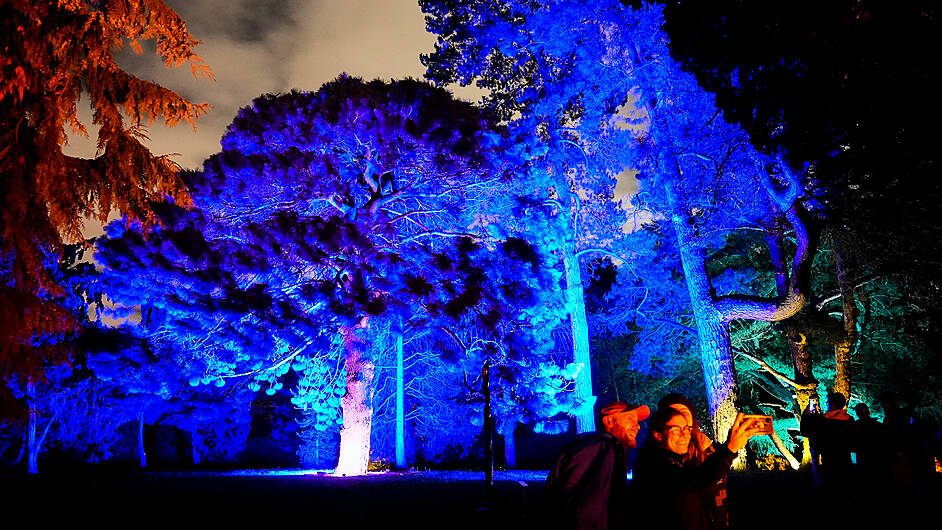 WATCH: Skibbereen shines for arts festival Image