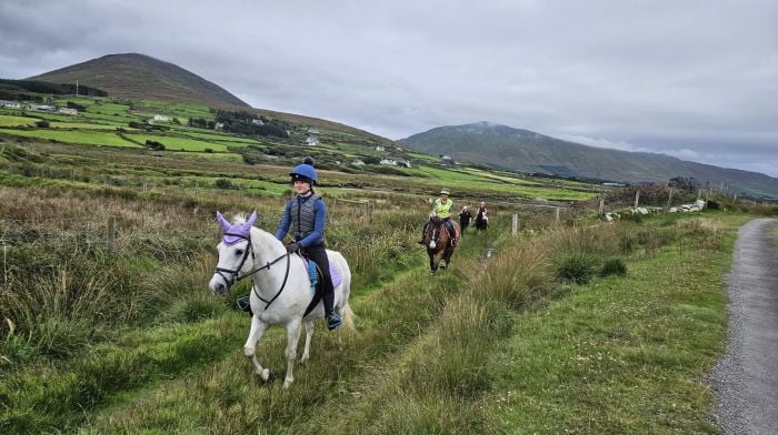 Bridle Way is well on track to creating a horse haven on Beara Image