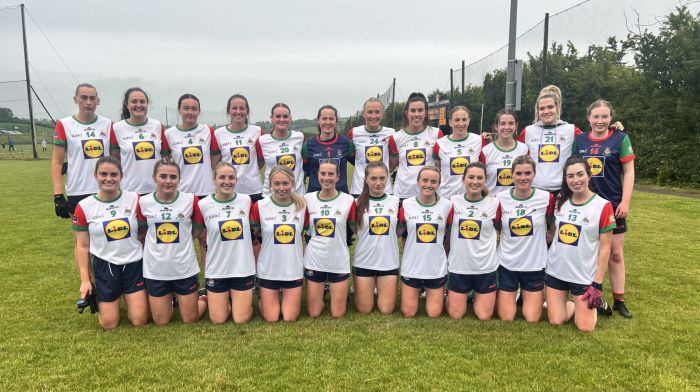 Clonakilty miss chance to capture Division 1 title Image