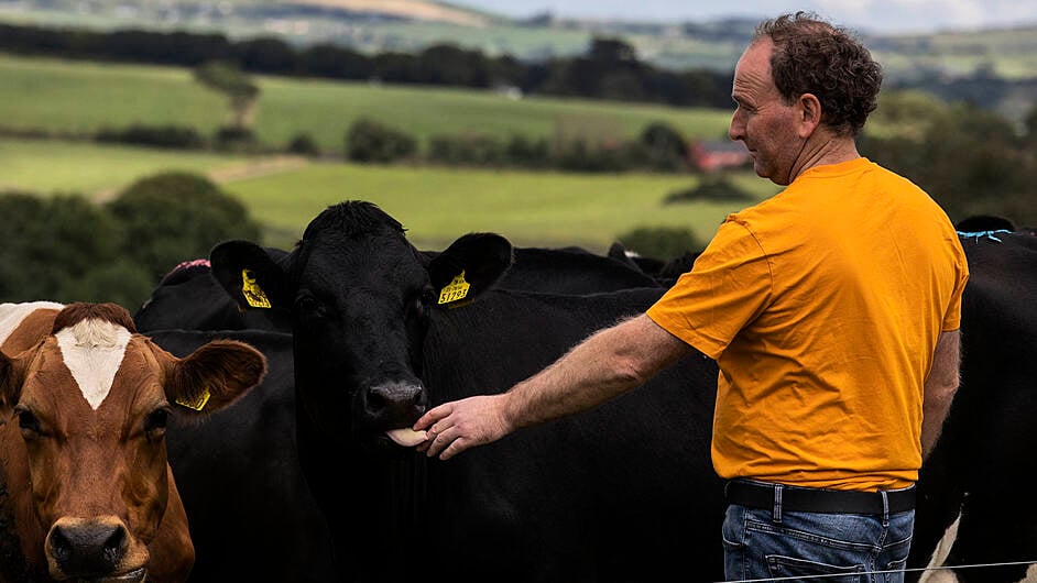 Deasy family ready to host farm walk in Timoleague Image