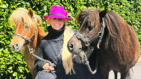 Rescue ponies putting on a great show in West Cork this summer Image