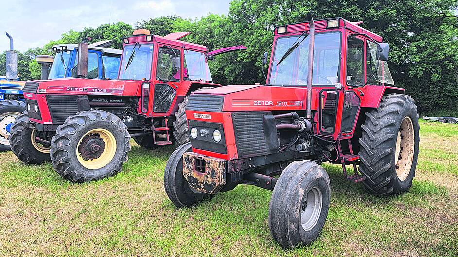 Zetor’s Crystal clearly punched above weight Image