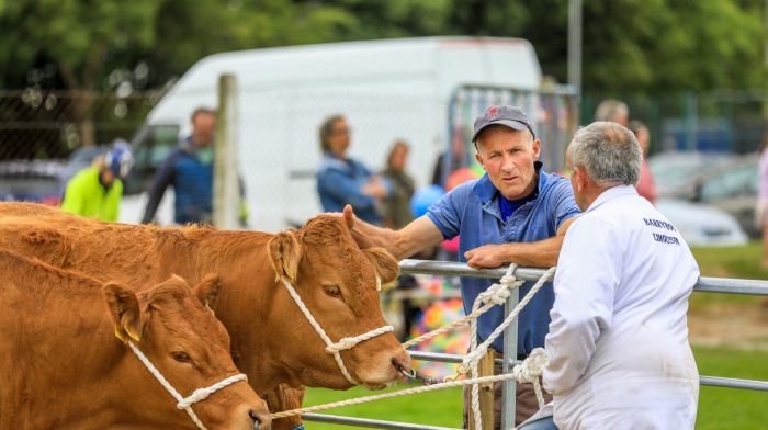 Barryroe, Cork, Ireland. 13th July, 2024. Peter McCarthy in deep conversation with James Wycherely at the annual agricultural show that was held in Barryroe Co. Cork. - Picture David Creedon