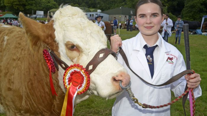 NEWS 7/7/2024 Pictured at the agricultural show at Dunmanway Co Cork was Isabel Lehane from Dunmanway with her champion Simmental \