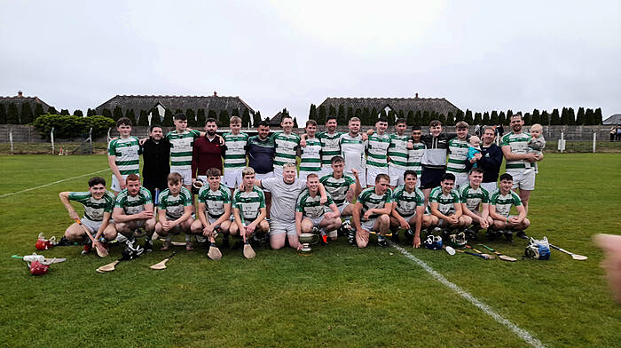 The Valley Rovers team who defeated Belgooly on July 19th to win the junior A hurling league.