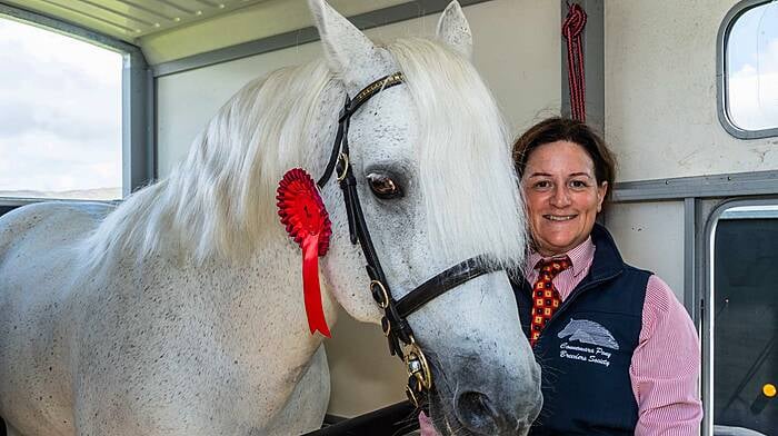 Sarah Jane Sinnott from Schull with her class winning pony Shanbo Rory at the Schull Agricultural Show.   (Photo: Andy Gibson)