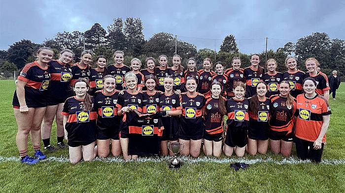 Ilen Rovers, St Colum's and Rossas win West Cork titles Image