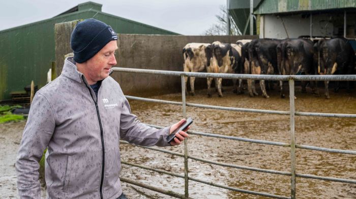 West Cork start-ups are testament to success of UCD ‘ag-ccelerator’ scheme Image