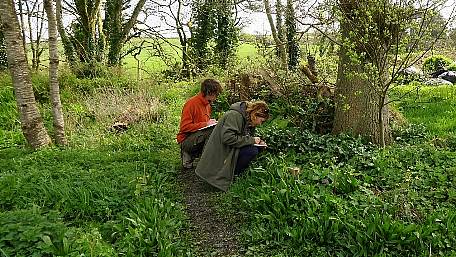 Sketching, foraging and dyeing at Bantry festival workshops Image