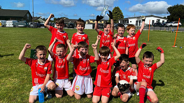 The O’Donovan Rossa U7 footballers who played a blitz in Dunmanway recently were (back, from left) Adam Sweetnam, Tommy Haigh, Cian O’Mahony, Charlie O’Neill and Michael Walsh. Front (from left) Zac Collins, Cayden O’Donovan, Leon Croston, Barra O’Mahony, Luca McCarthy and Seanie O’Neill.