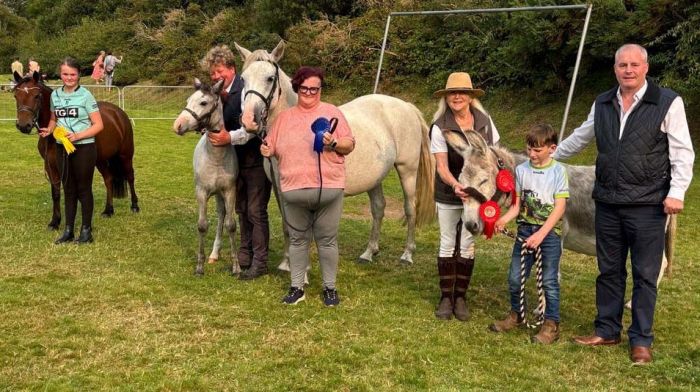 Winners in the Derry Collins memorial class were 3rd, Bridget Hurley with pony Violet; 2nd, Dan and Nuala O Brien with the Connemara pony Brave Lady and her foal; overall winner Peadar Williamson with his donkey George with judges Angela O Brien and James Whelton.