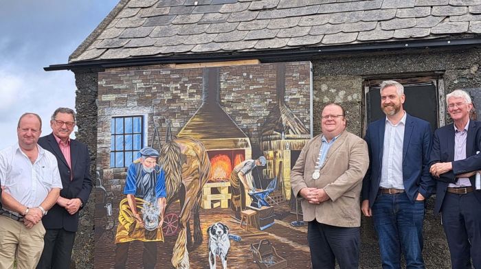 Cllr Caroline Cronin, Michael Collins TD, Terry Ó Niadh (judge), Cllr Danny Collins, Christopher O'Sullivan TD, Tom Dowling (judge) and Senator Tim Lombard at the unveiling of a mural at the Old Forge on the judging day for the Pride of Place awards.