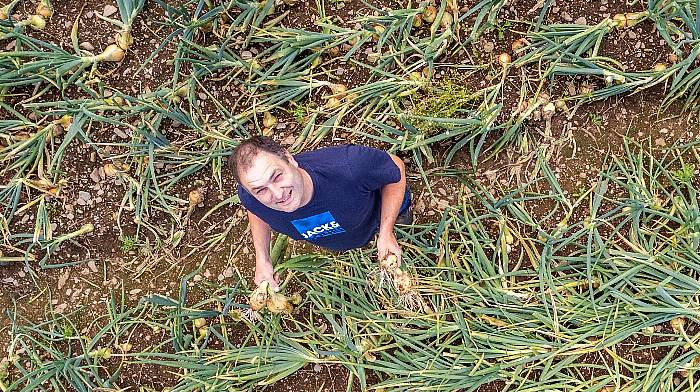 How Eamon captured the growing appeal of West Cork onions Image