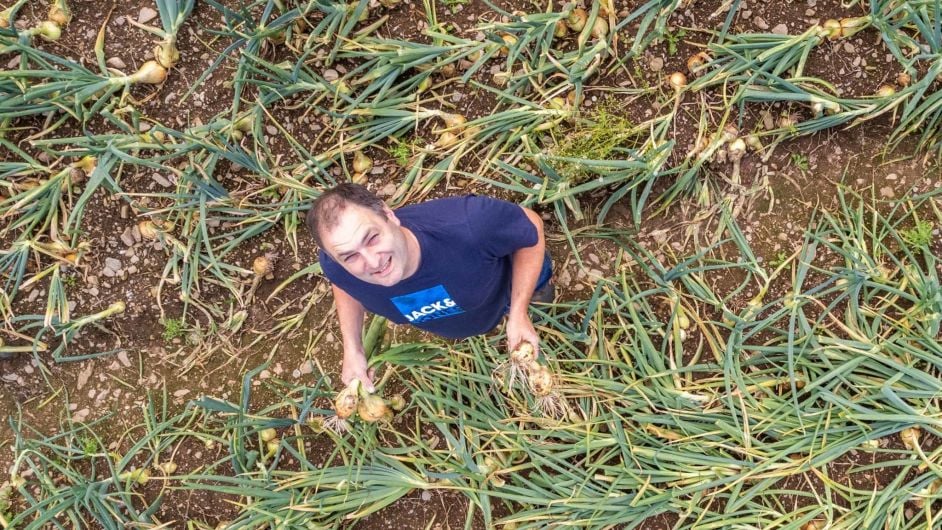 How Eamon captured the growing appeal of West Cork onions Image