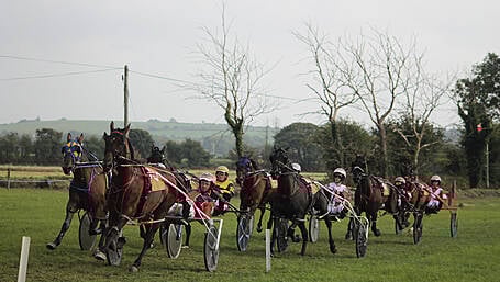Immortal John races to Red John Memorial success Image