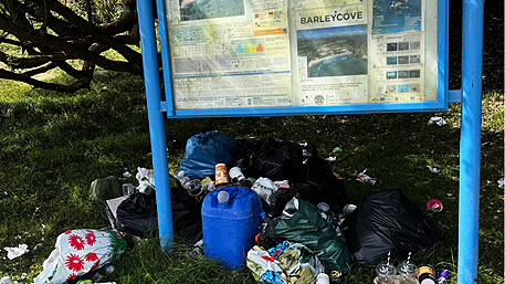 Beach residents fear rubbish will attract rodents Image