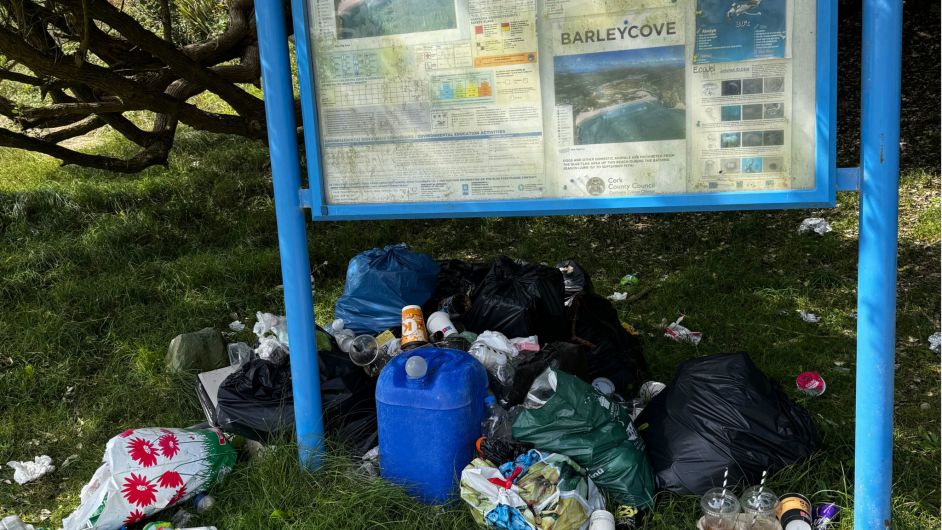 Beach residents fear rubbish will attract rodents Image