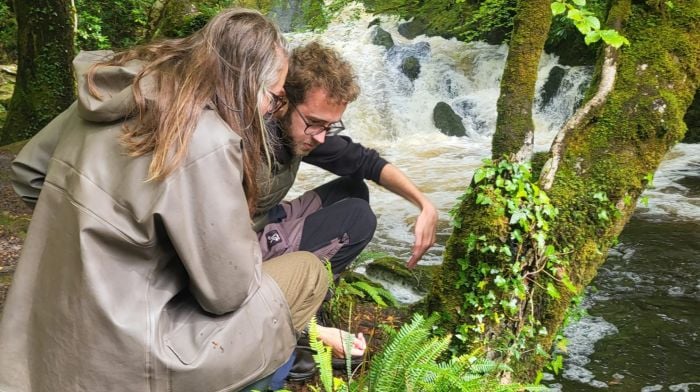 Kloe Woods, Glengarriff (left) and Patrick Gleeson, Tralee at a fern identification workshop in the Glengarriff Nature Reserve during the Ellen Hutchins Festival.