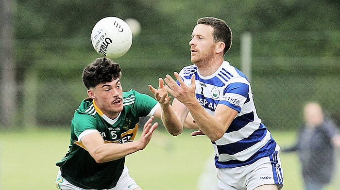 JOHN HAYES: Castlehaven footballers start to flex their muscles Image