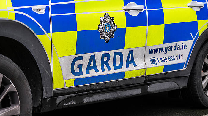 Local garda divisions get a restructuring Image