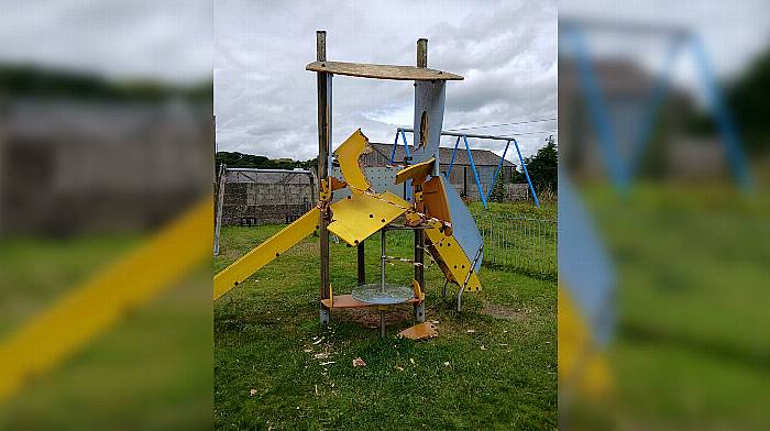 Trail of mindless vandalism shocks Ballineen community Image