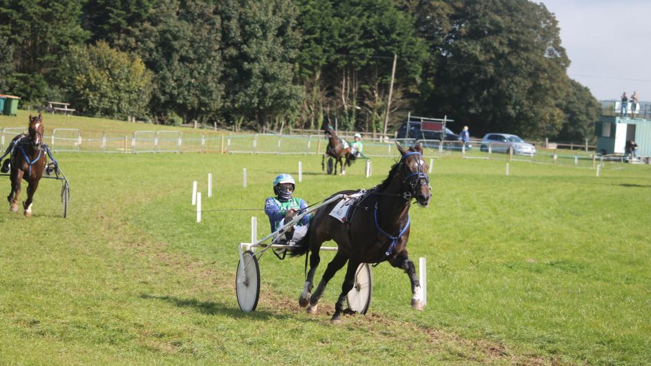 Jamie Hurley guides Graal Du Dollar to victory in Lyre Image