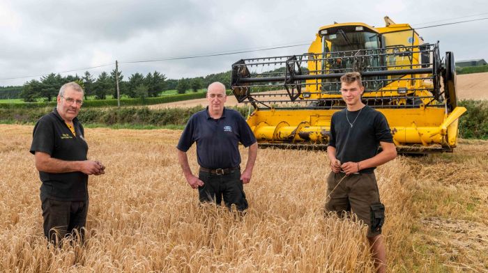 Noel Donovan, Seán Moore and   omas Prodinger, all
from Kilbrittain, checking out tillage farmer Tim O’Connell’s
spring barley in Boxtown. (Photo Andy Gibson)