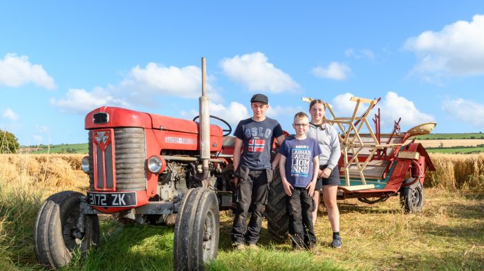 Killian, Kelvin and Richelle Kingston from Milleennagun, Dunmanway harvesting oats on the land of Alan Hurley (Derryvreen,
Rossmore) for Rathbarry working day, which takes place on Sunday September 22nd. Killian was driving their Massey
Ferguson 65 tractor and father Keith was operating a McCormick binder owned by George Patterson (Ballinacarriga). (Photo: David Patterson)