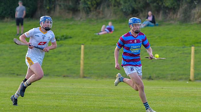 Ibane Gaels set up Carbery U21A hurling final date with Newcestown Image