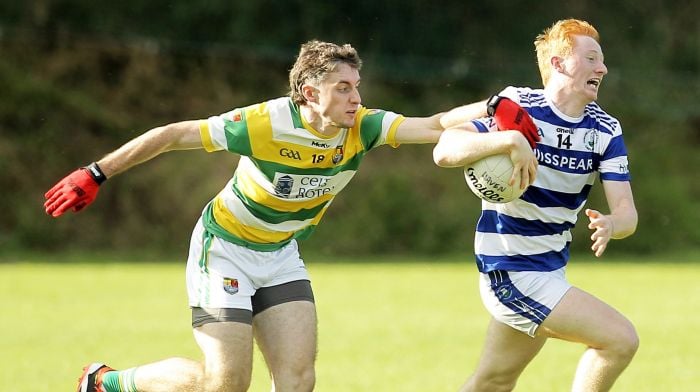 JOHN HAYES: Can Barrs and Nemo keep pace with Haven? Image