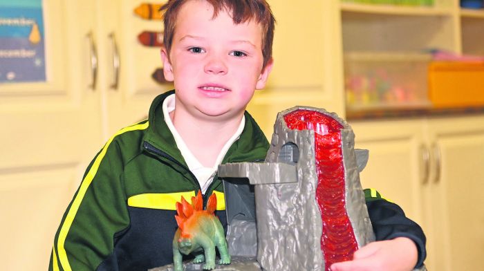 Harry White on his first day at Ardfield National School.  (Photo: Martin Walsh)