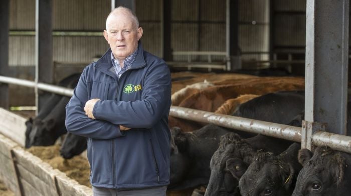 IFA president Francie Gorman: ‘There’s no better way to provide for your family’ Image