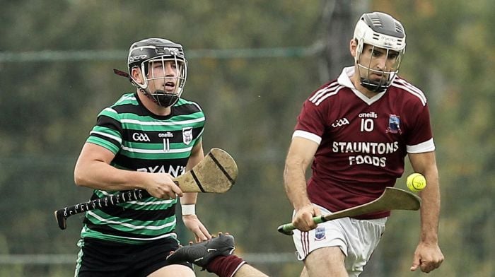 Jim Foley hails ‘crucial’ Argideen Rangers win after hurlers won premier junior relegation play-off Image