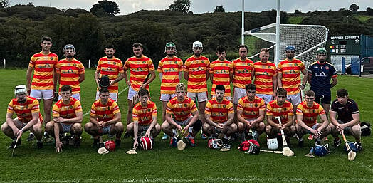 Eoin Kelly pulls the strings as Newcestown into last four of Carbery JAHC Image