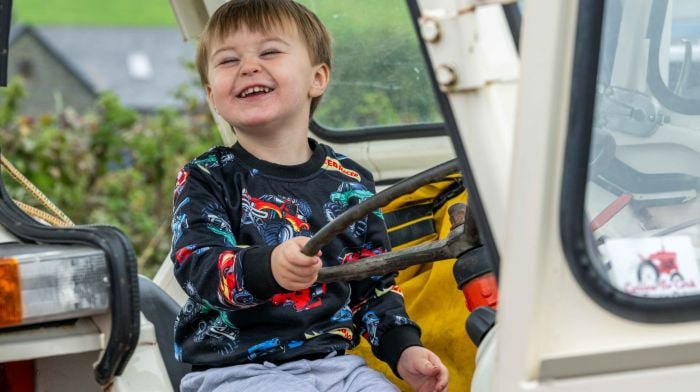 Sonnyt Ryan, aged two from Lisavaird, trying a David Brown 996 tractor at Rathbarry & District Vintage Club run today, in memory of club member Anthony Doolan. Over 150 tractors took part  as well as many vintage cars and trucks. (Photo: Andy Gibson)