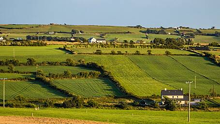 Acres delays putting West Cork farmers ‘under enormous stress’ Image