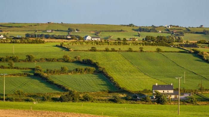 Acres delays putting West Cork farmers ‘under enormous stress’ Image